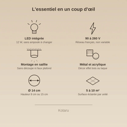 Caractéristiques du plafonnier spot, LED intégrée 12 W, 90 à 260 V