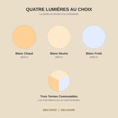 Les quatre couleurs de lumière au choix, blanc chaud, blanc neutre, blanc froid et trois teintes