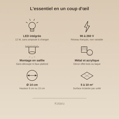 Caractéristiques du plafonnier spot, LED intégrée 12 W, 90 à 260 V | Delvanie